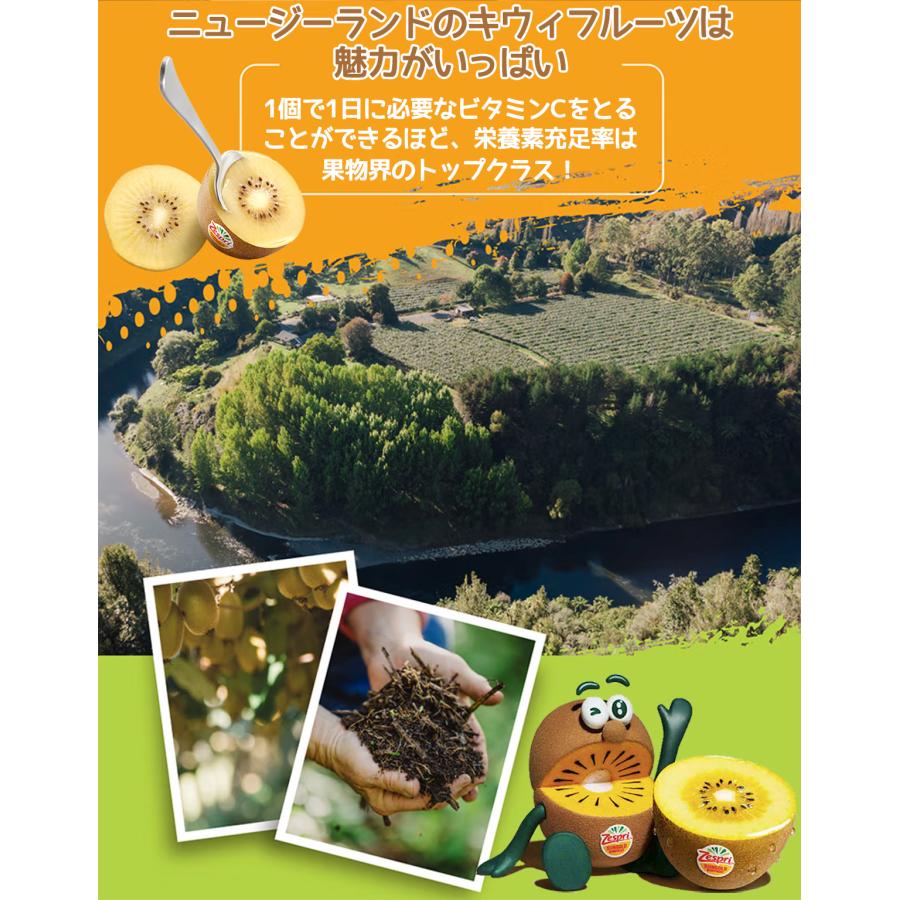 ゼスプリ>サンゴールドキウイ 約2kg 12-16玉前後 大玉 ゼスプリ>サンゴールドキウイ 約2kg 12-16玉前後 大玉