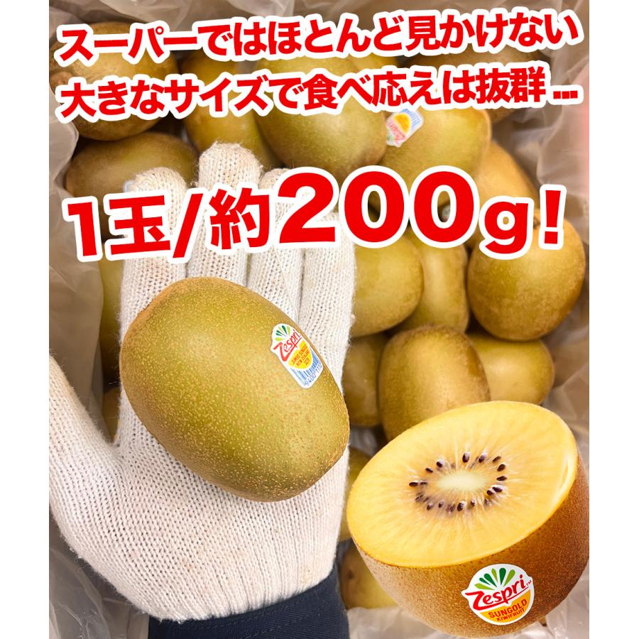 ＜ゼスプリ＞サンゴールドキウイ 約2kg 箱 12〜16玉前後 ニュージーランド産 厳選フルーツ 甘味が強い Kiwi 奇異果 母の日 父の日 御中元ギフト ＜国内検品＞｜season-plaza｜04