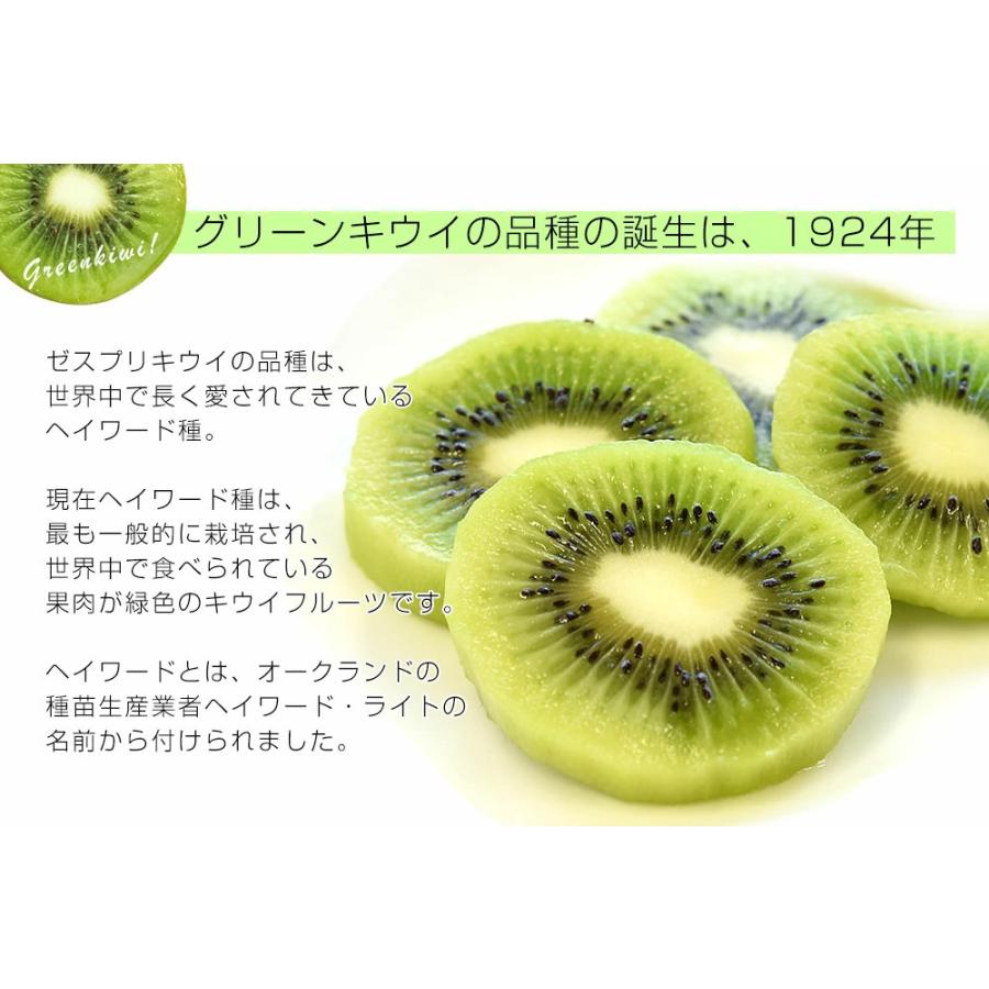 ゼスプリ>グリーンキウイ 約3kg 30〜36玉入 ニュージーランド産 ゼスプリ>グリーンキウイ 約3kg 30〜36玉入 ニュージーランド産