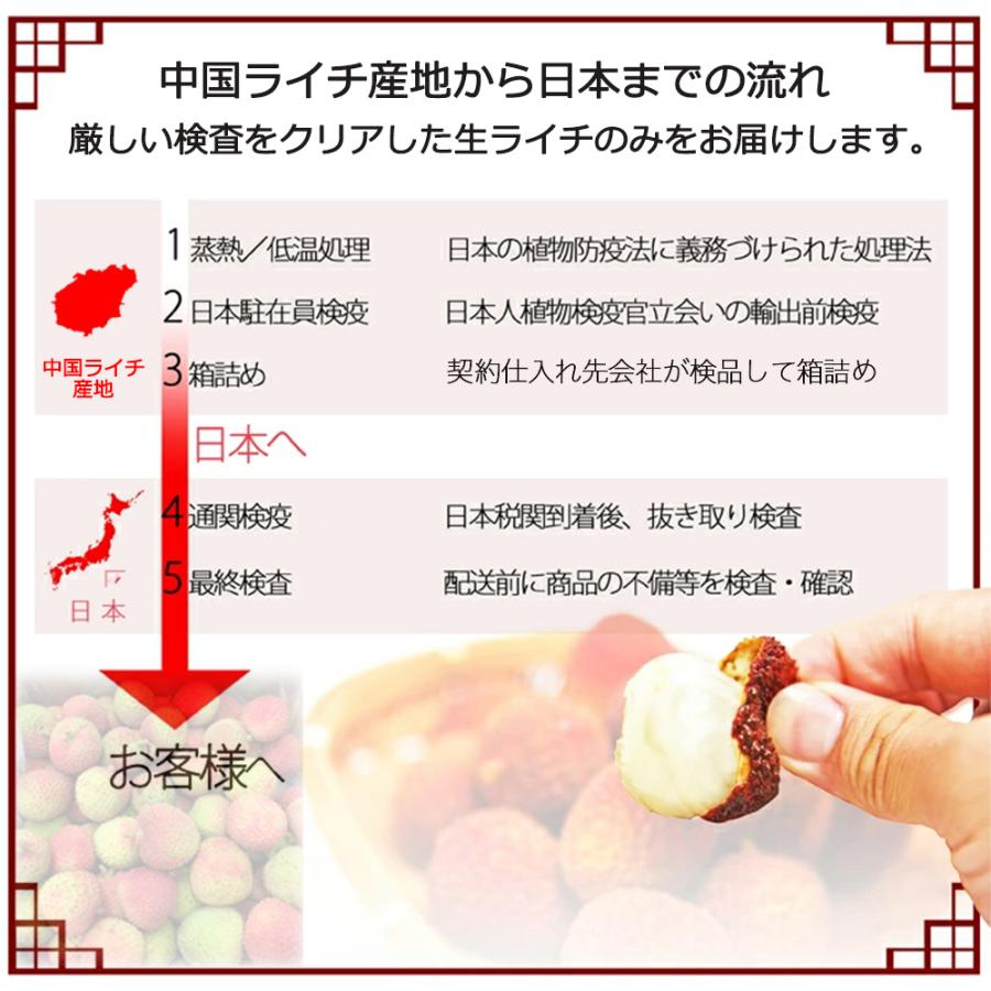4kg‼️手渡し‼️新鮮 生ライチ 香りが強いみずみずしい　妃子笑茘枝 果物 4kg‼️手渡し‼️新鮮 生ライチ 香りが強いみずみずしい 妃子笑茘枝