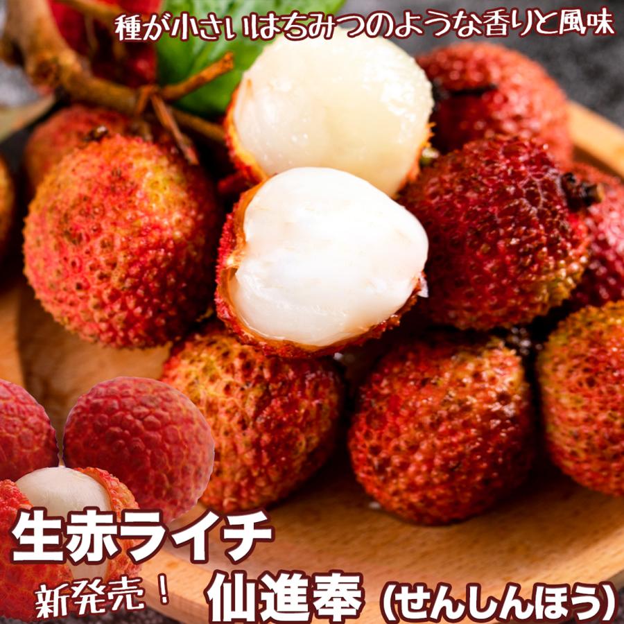 生赤ライチ 仙進奉 約4kg 産地箱｜中国産 糯米滋改良品種｜種が小さく