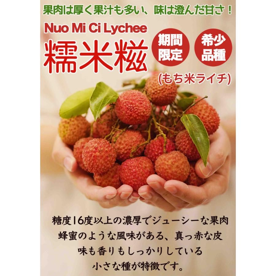 生ライチ 約4kg 箱 もちごめライチ（ノーマイチ糯米）140玉前後 中国産 瑞々しい新鮮フレッシュライチ 井崗紅糯茘枝 厳選南国フルーツ お中元ギフト＜国内検品＞｜season-plaza｜02