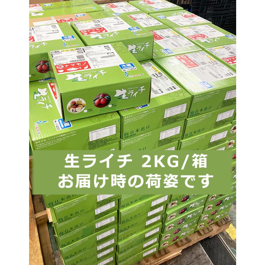 種無し生ライチ 約2kg 箱 40玉前後 大玉 中国産 超希少品種 厳選 種無し生ライチ 約2kg 箱 40玉前後 大玉 中国産 超希少品種 厳選