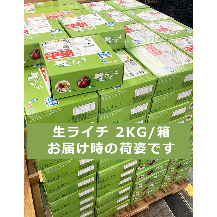 種無し生ライチ 約4kg 箱 80玉前後 大玉 中国産 超希少品種 厳選フルーツ 新鮮フレッシュライチ みずみずしい レイシ 無核茘枝 御中元 夏ギフト＜国内検品＞｜season-plaza｜13