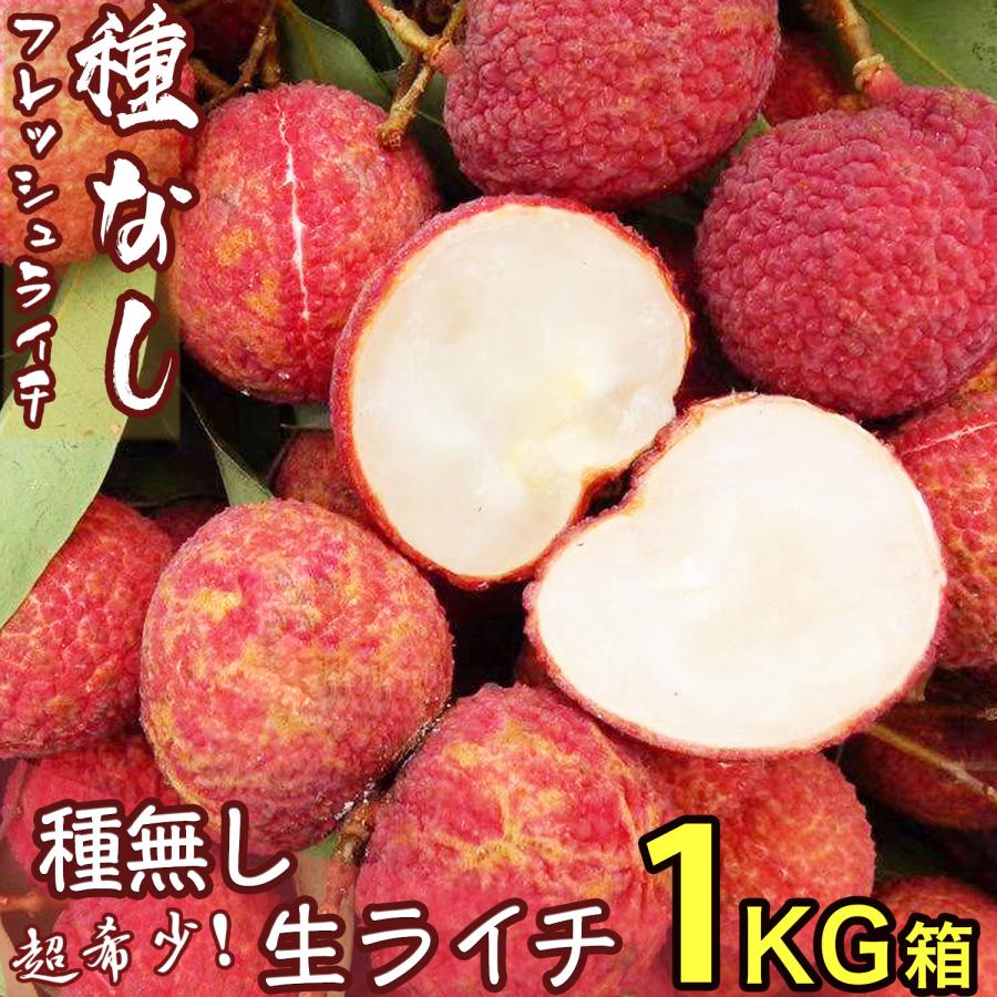 種無し生ライチ 約1kg 約20玉前後 大玉｜中国産 無核ライチ