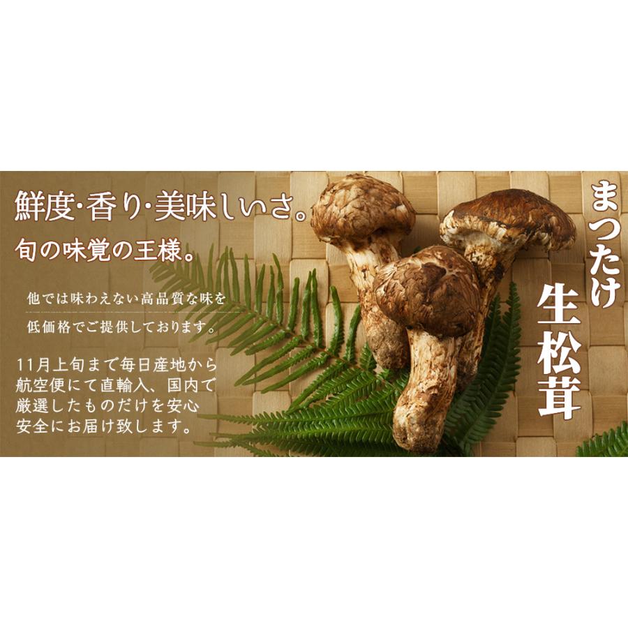 5日以内発送】生松茸 特選 中ツボミ 約1kg HAサイズ【22本前後 長さ8cm前後】空輸 中国産 厳選フレッシュマツタケ 秋の味覚<国内検品><配達日指定可> :KM-HA01:四季の広場 Yahoo!店 - 通販 - Yahoo!ショッピング 5日以内発送】生松茸 特選 中ツボミ 約1kg HAサイズ【22本前後 長さ8cm前後】空輸 中国産 厳選フレッシュマツタケ 秋の味覚<国内検品><配達日指定可> :KM-HA01:四季の広場 Yahoo!店 - 通販 - Yahoo!ショッピング
