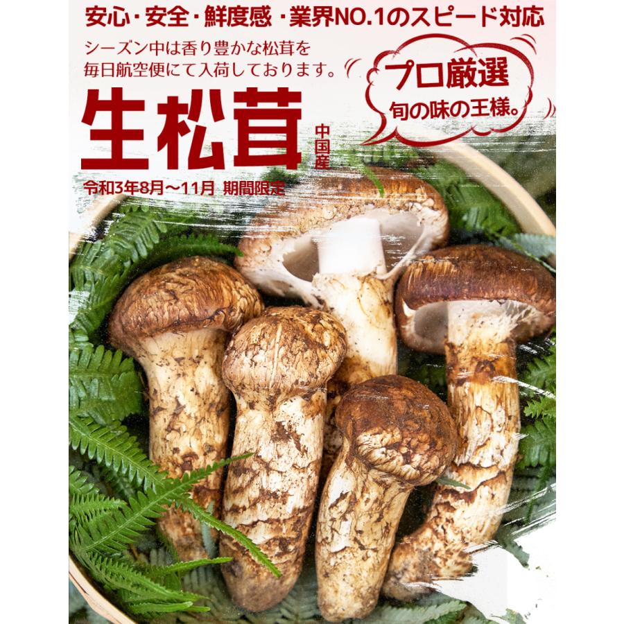 生松茸 特選 開き 約2kg HB2Lサイズ【10本前後×2箱 長さ14cm前後】空輸