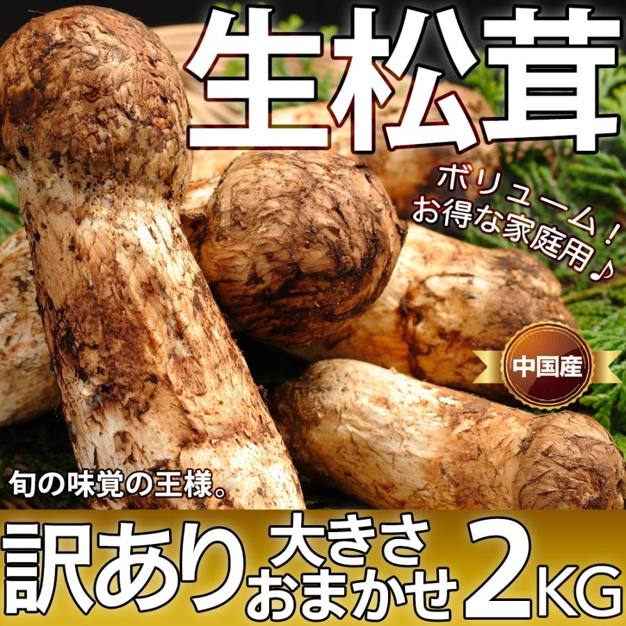 生松茸 訳あり 約2kg ＜開き方・大きさおまかせ＞ 空輸 中国産 厳選