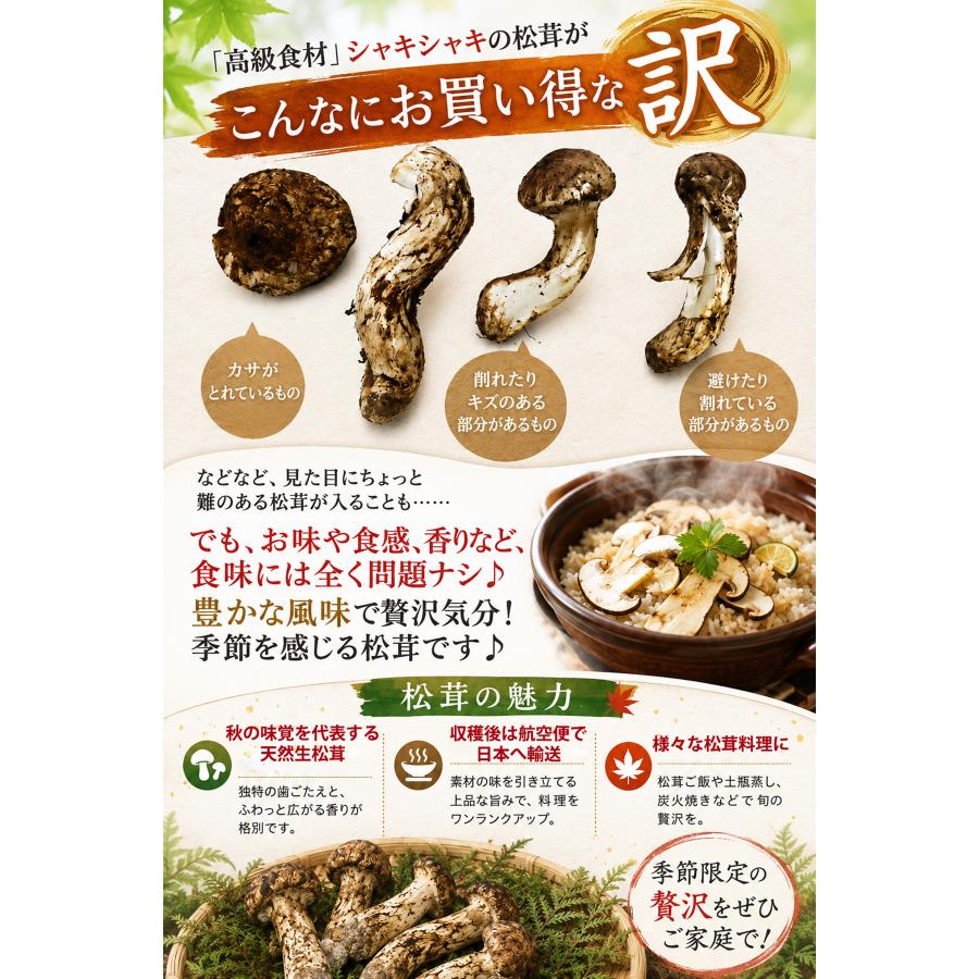 生松茸 訳あり 約500g 箱 ＜開き方・大きさおまかせ＞ 中国雲南産 天然