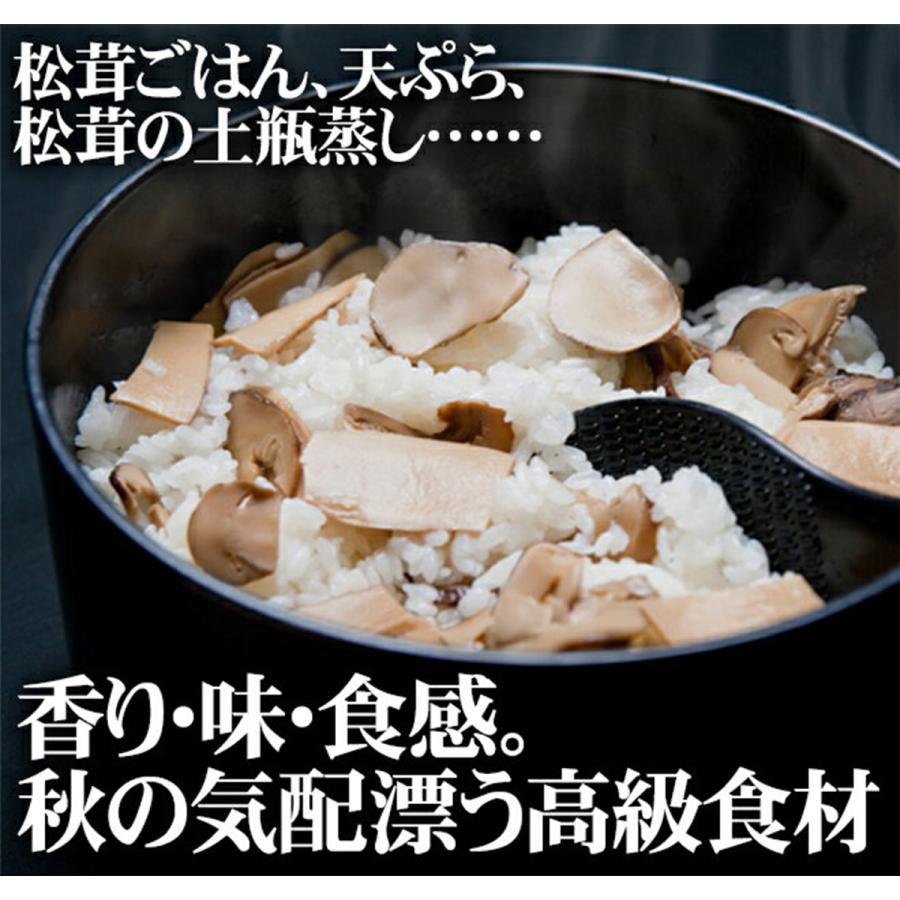 生松茸 訳あり 約500g 箱 ＜開き方・大きさおまかせ＞ 中国雲南産 天然