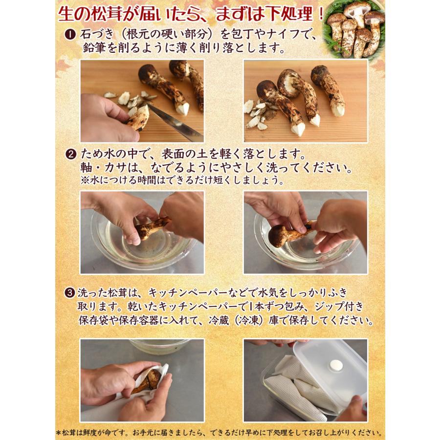 生松茸 訳あり 約500g 箱 ＜開き方・大きさおまかせ＞ 中国雲南産 天然