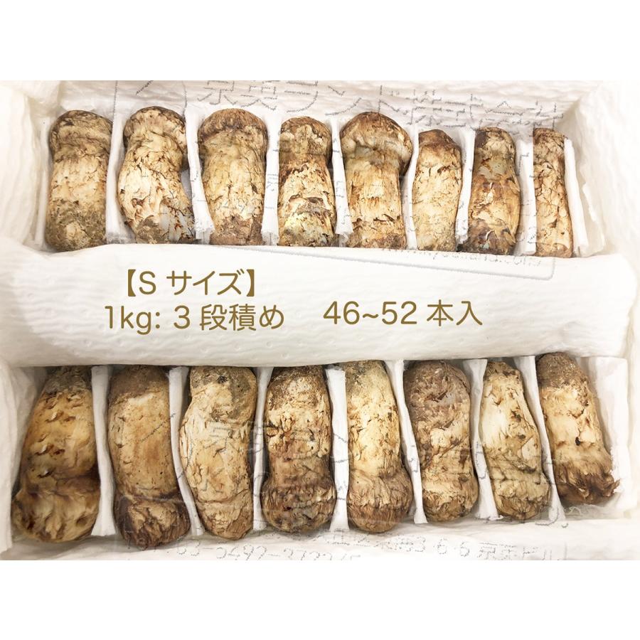 生松茸 つぼみ 約1kg ＜小Sサイズ 40〜48本 5cm前後＞特選 天然