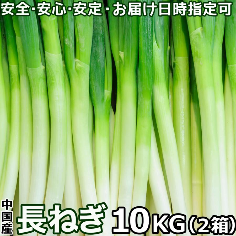 長ねぎ ネギ 業務用 10キロ ＜5キロ×2箱＞80本前後入 L~2Lサイズ 中国産 白い部分が長い太くて使いやすい白ネギ 飲食店様向け長葱 業務用食材 ＜日付指定可能＞｜season-plaza