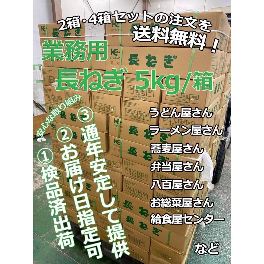 長ねぎ ネギ 業務用 10キロ ＜5キロ×2箱＞80本前後入 L~2Lサイズ 中国産 白い部分が長い太くて使いやすい白ネギ 飲食店様向け長葱 業務用食材 ＜日付指定可能＞｜season-plaza｜09