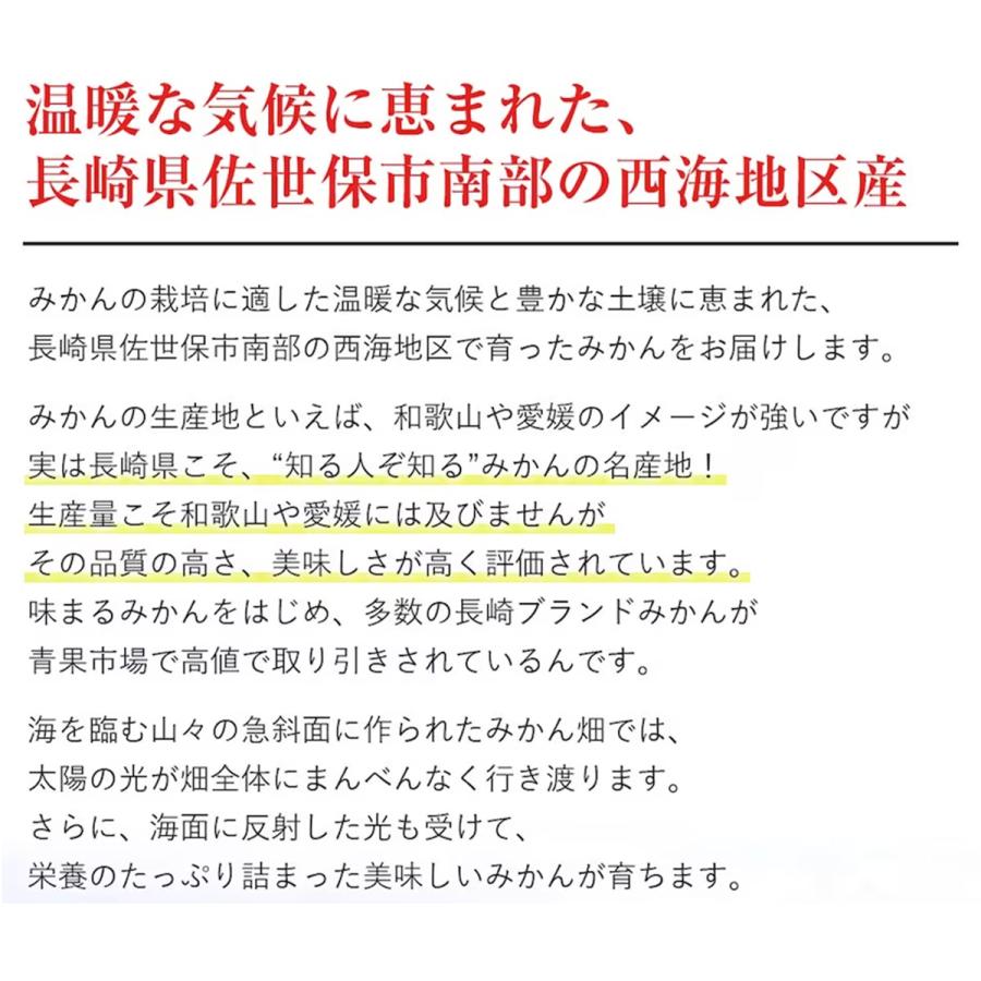 味まるみかん 約2kg 箱 秀品 L〜Mサイズ 中玉以上限定 最低糖度12度