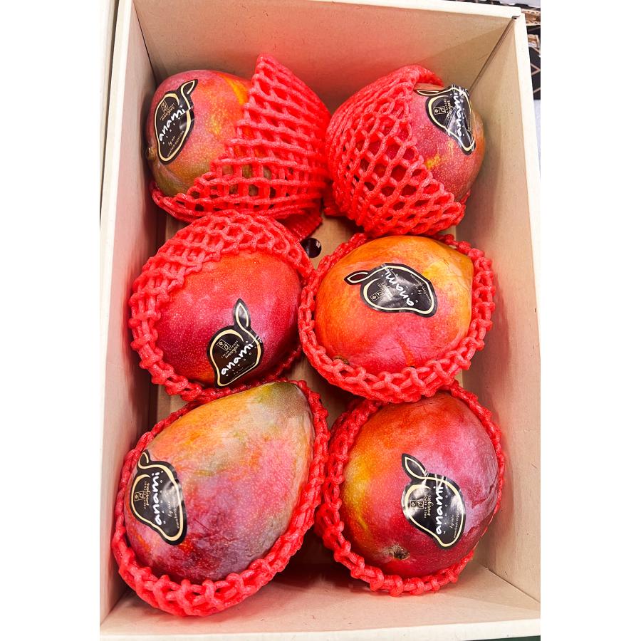 メキシコマンゴー 約3kg ＜6玉入＞空輸 化粧箱入 大玉L ケント種 完熟