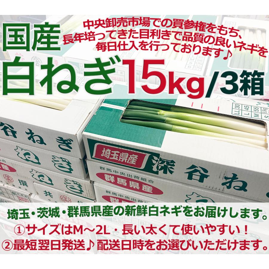 国産長ねぎ 約15kg(5kg×3箱)M〜2Lサイズ 関東地区産地 厳選白 国産長ねぎ 約15kg(5kg×3箱)M〜2Lサイズ 関東地区産地 厳選白