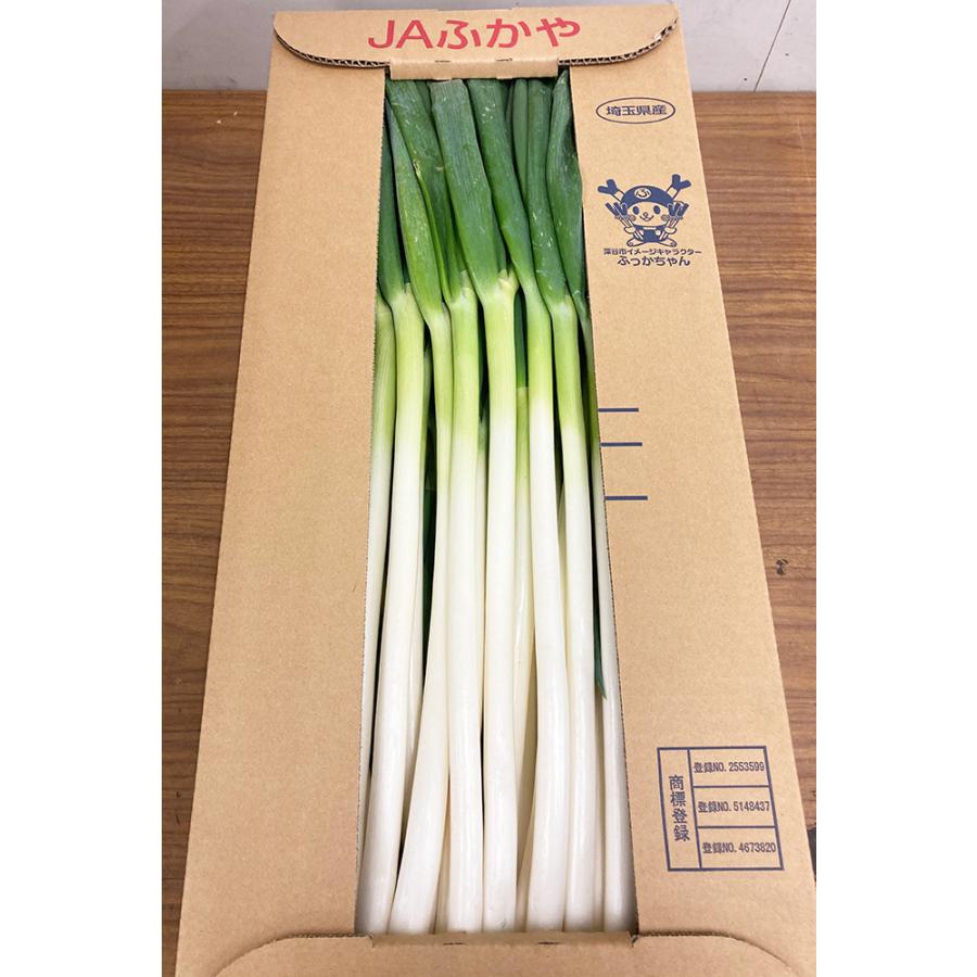 国産長ねぎ 約15kg(5kg×3箱)M〜2Lサイズ 関東地区産地 厳選白 国産長ねぎ 約15kg(5kg×3箱)M〜2Lサイズ 関東地区産地 厳選白