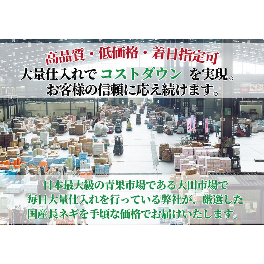 国産長ねぎ 約15kg(5kg×3箱)M〜2Lサイズ 関東地区産地 厳選白 国産長ねぎ 約15kg(5kg×3箱)M〜2Lサイズ 関東地区産地 厳選白