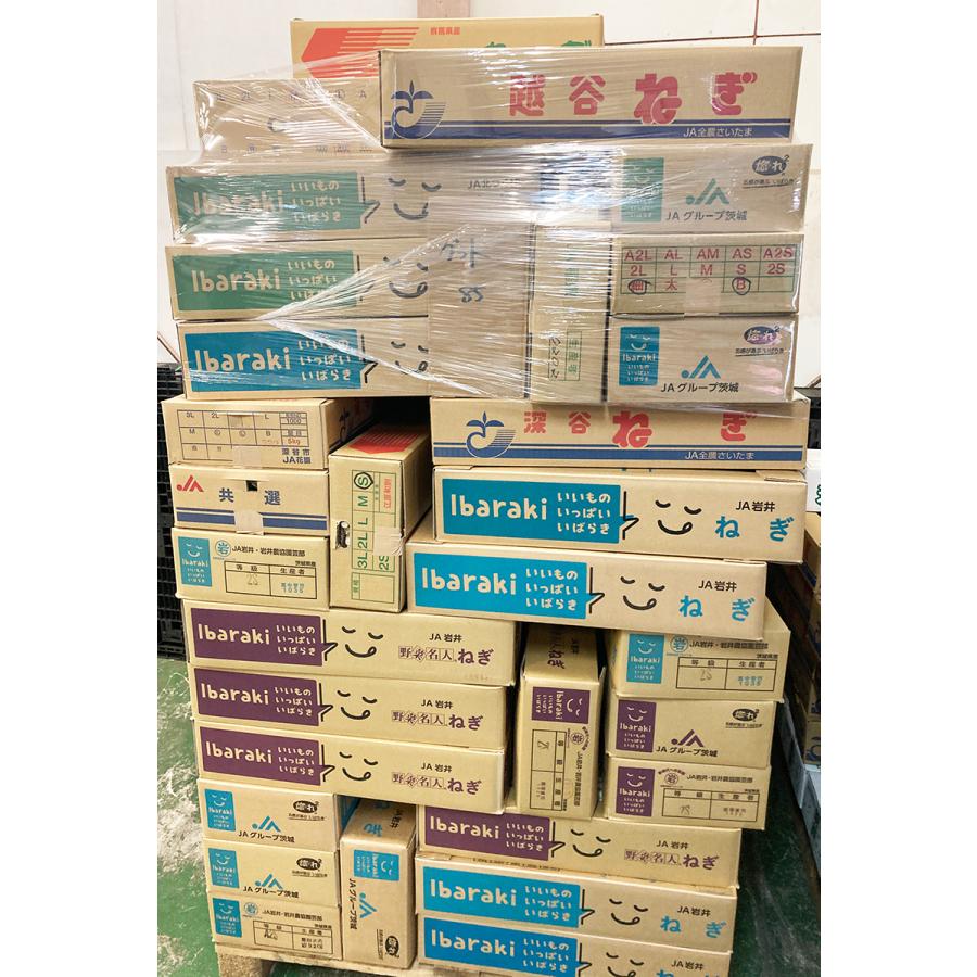 国産長ねぎ 約15kg(5kg×3箱)M〜2Lサイズ 関東地区産地 厳選白 国産長ねぎ 約15kg(5kg×3箱)M〜2Lサイズ 関東地区産地 厳選白