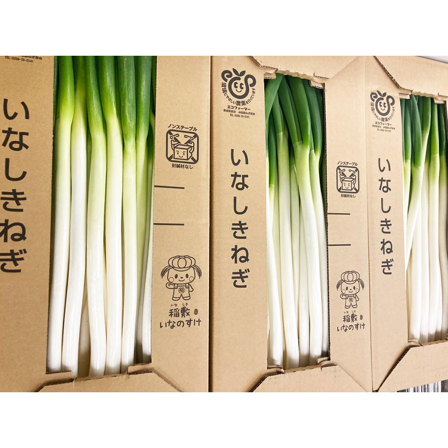 マーケティング 5日以内発送 国産 長ねぎ 約kg 4箱入 M 2lサイズ 厳選白ネギ 大田市場から直送 新鮮な太く長いネギ 白ねぎ 配送日時指定可 クール便送料無料 Wantannas Go Id
