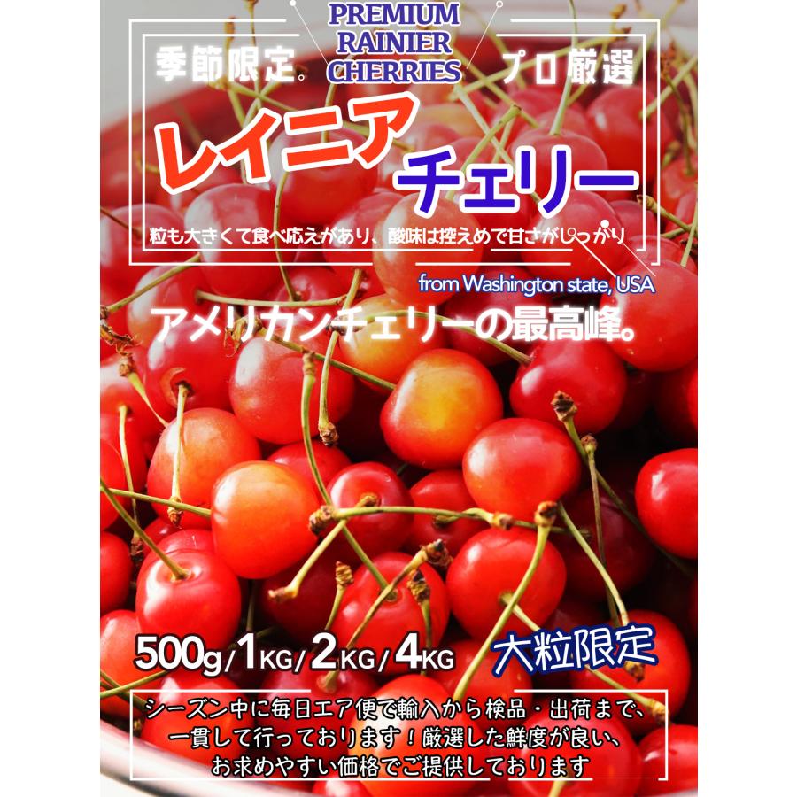 レイニアチェリー 約500g 箱 空輸 超大粒 9.5row 鮮度保持袋入