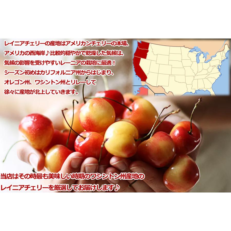 レイニアチェリー 約500g 箱 空輸 超大粒 9.5row 鮮度保持袋入