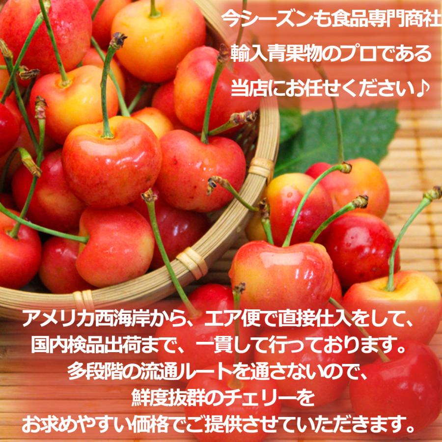 レイニアチェリー 約500g 箱 空輸 超大粒 9.5row 鮮度保持袋入