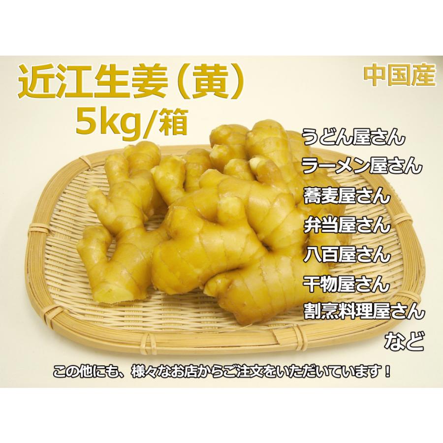 黄金生姜 特選 5kg/箱 Lサイズ バラ積 業務用 中国産 食用近江生姜(黄色) 生姜原体 しょうが ＜国内検品＞＜配達日指定可＞｜season-plaza｜02