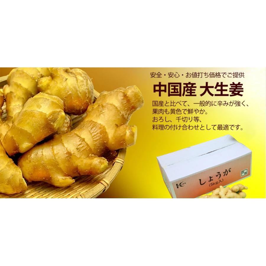 黄金生姜 特選 5kg/箱 Lサイズ バラ積 業務用 中国産 食用近江生姜(黄色) 生姜原体 しょうが ＜国内検品＞＜配達日指定可＞｜season-plaza｜04