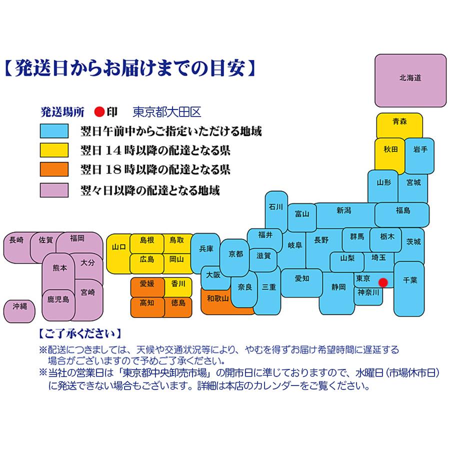 黄金生姜 特選 5kg/箱 Lサイズ バラ積 業務用 中国産 食用近江生姜(黄色) 生姜原体 しょうが ＜国内検品＞＜配達日指定可＞｜season-plaza｜05