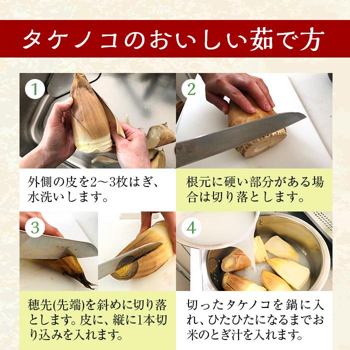 生たけのこ 約2kg 箱｜フレッシュ生筍 中国産｜国内根元カット加工・大