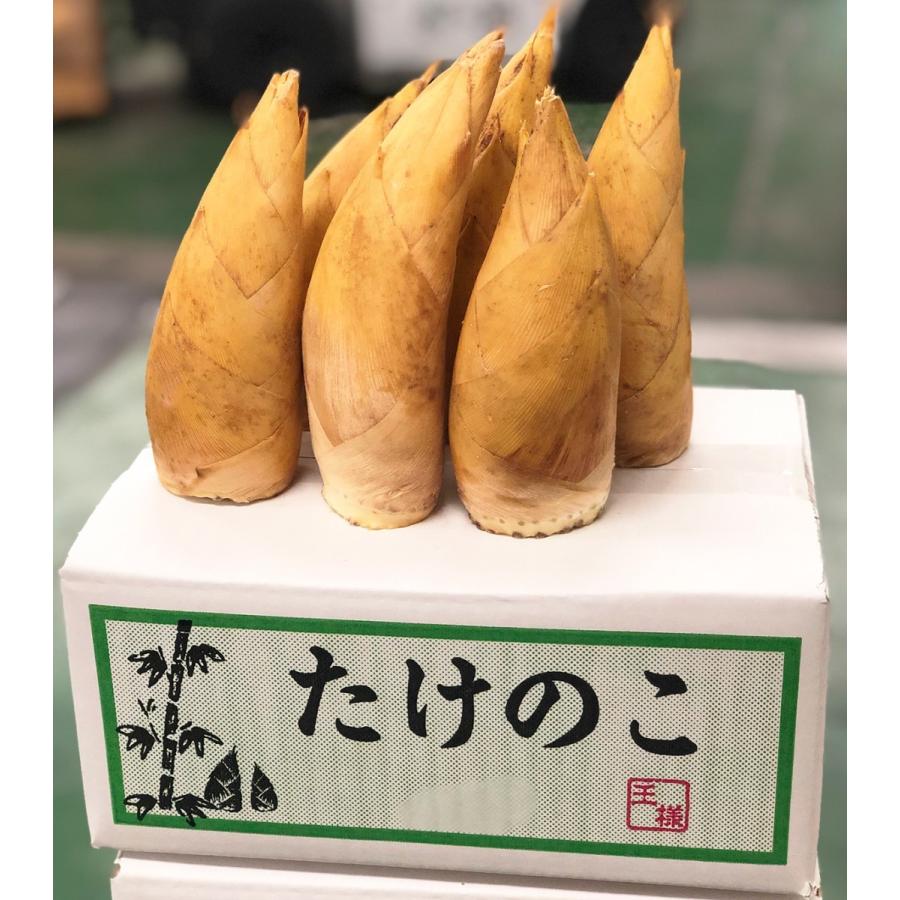 生たけのこ 約4kg <5~10本入×2箱>新タケノコ 中国産 生たけのこ 約4kg <5~10本入×2箱>新タケノコ 中国産