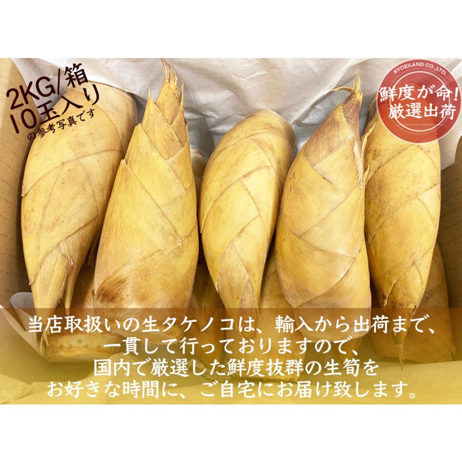 生たけのこ 約4kg ＜2kg×2箱＞フレッシュ生筍 中国産｜国内根元カット
