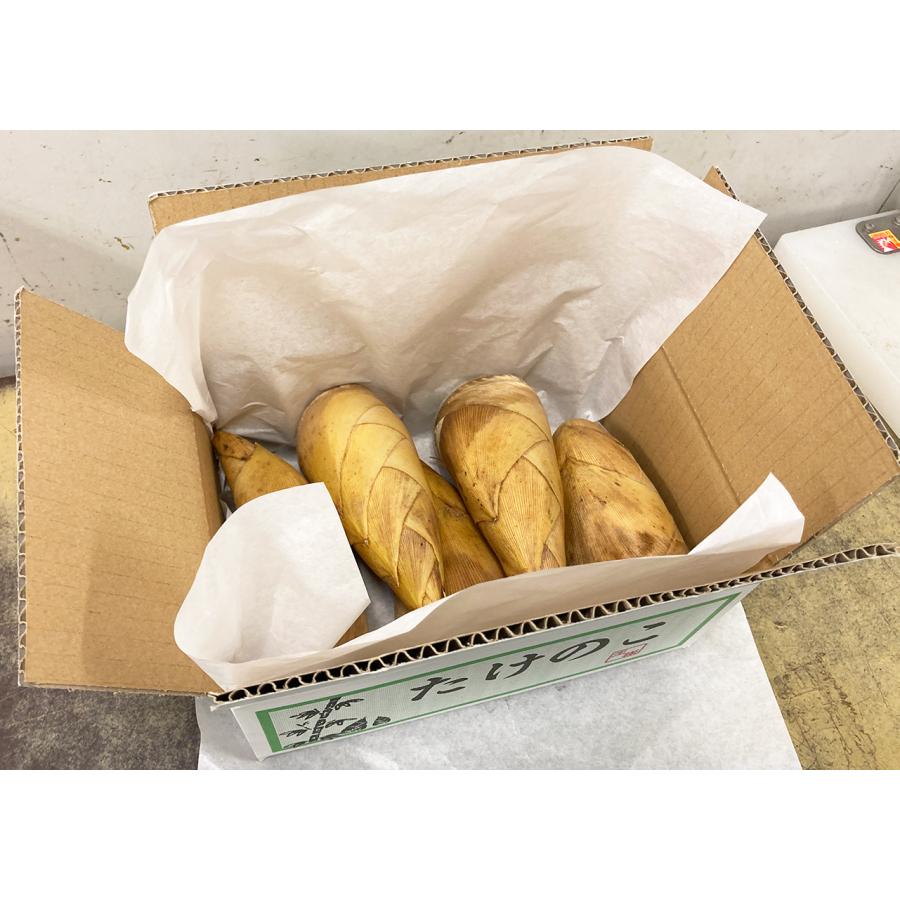 生たけのこ 約4kg ＜2kg×2箱＞フレッシュ生筍 中国産｜国内根元カット