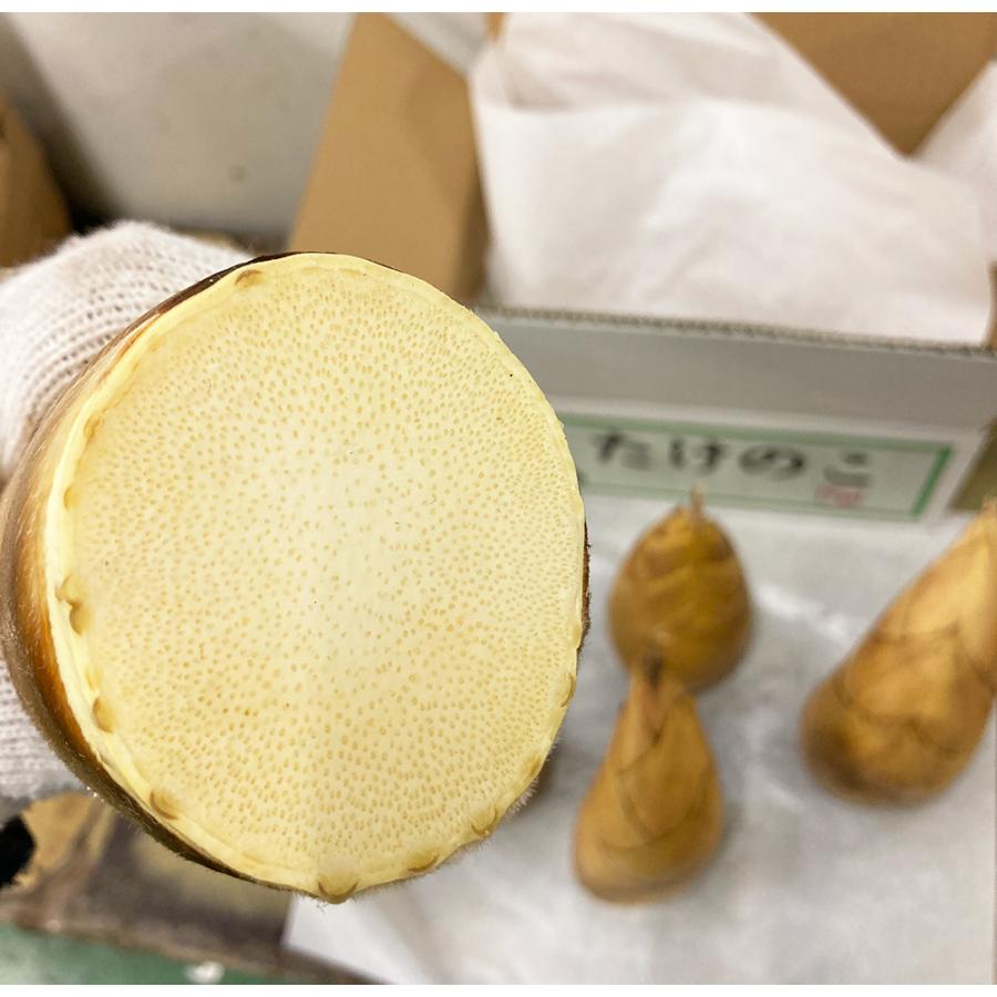 生たけのこ 約4kg ＜2kg×2箱＞フレッシュ生筍 中国産｜国内根元カット