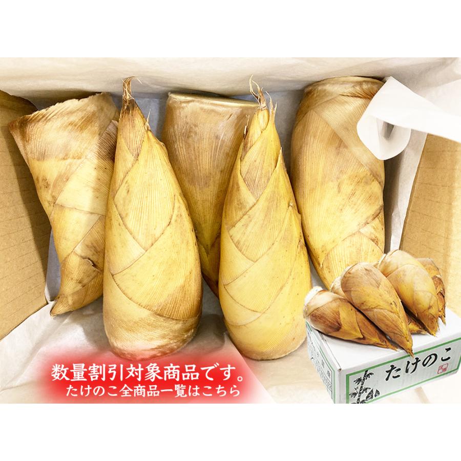 生たけのこ 約4kg ＜2kg×2箱＞フレッシュ生筍 中国産｜国内根元カット