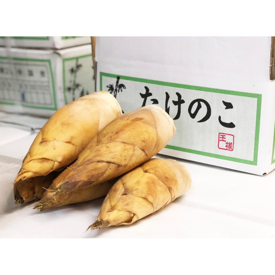 cyaro 筍2キロ　箱込み season-plaza_tk-06
