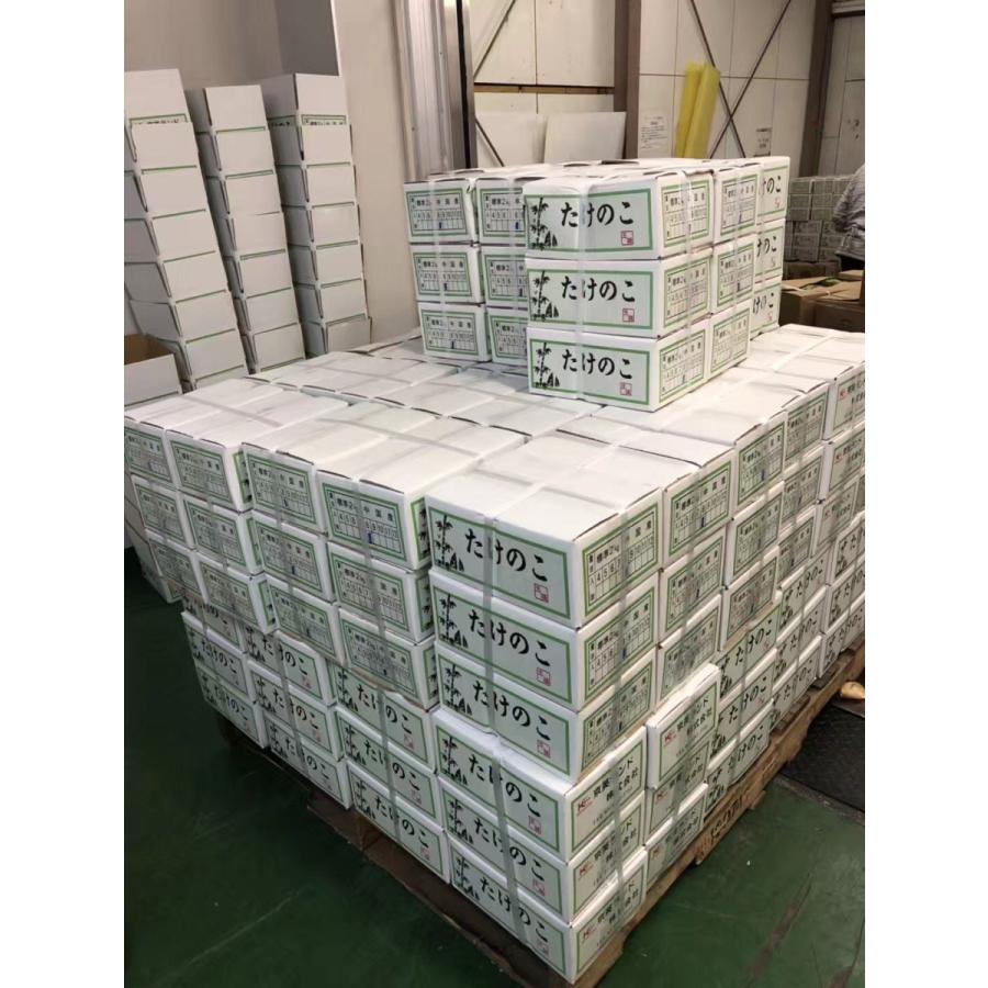 生たけのこ 約8kg ＜5~10本入&times;4箱＞新タケノコ 中国産 フレッシュ筍 孟宗筍 シャキシャキ食感 旬の食材 冬笋 業務用 家庭用 おせち料理 季節限定