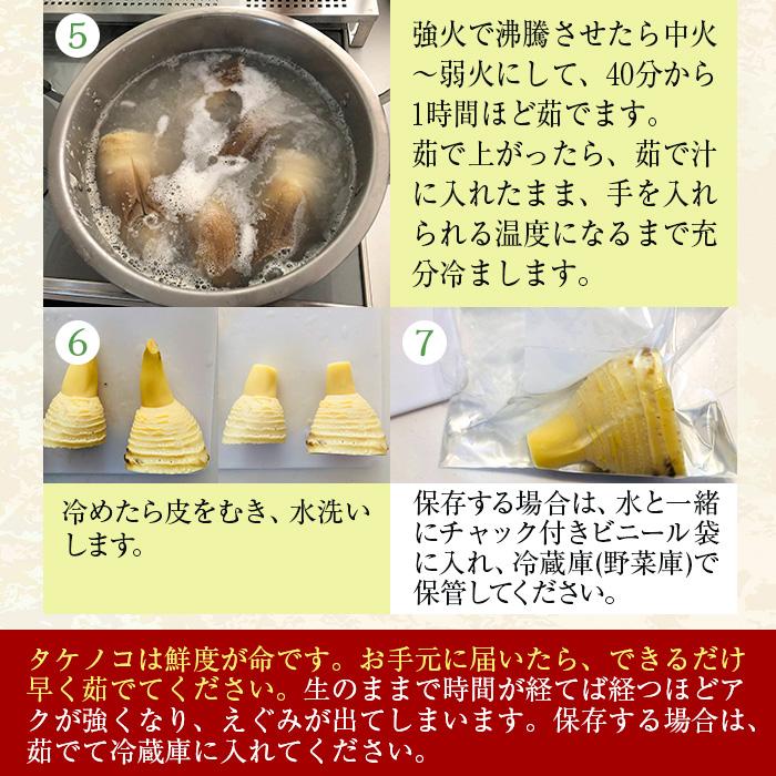 生たけのこ 約12kg ＜2kg×6箱＞フレッシュ生筍 中国産｜国内根元カット