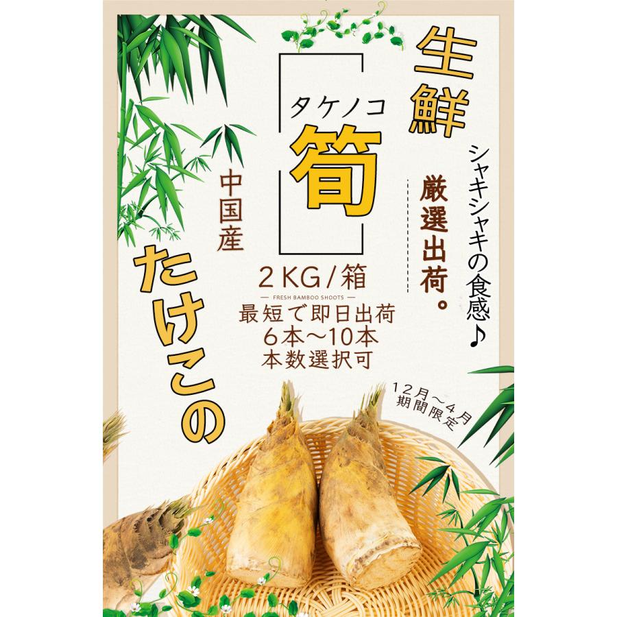生たけのこ 約12kg ＜2kg×6箱＞フレッシュ生筍 中国産｜国内根元カット