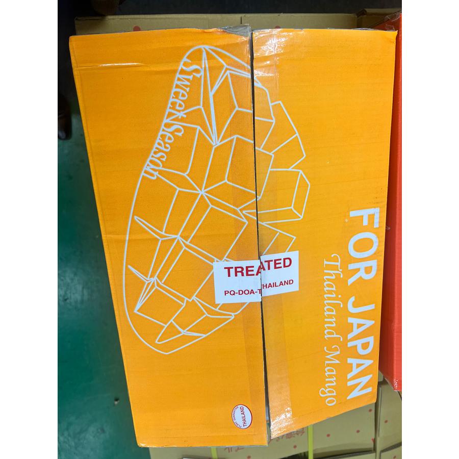 タイ産マンゴー 12〜15玉入 約4.3キロ 箱 ナンドクマイ種 空輸 タイ産マンゴー 12〜15玉入 約4.3キロ 箱 ナンドクマイ種 空輸