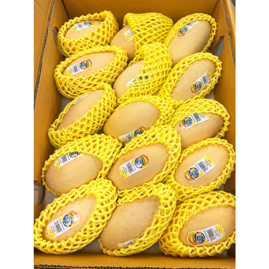 タイ産マンゴー 12〜15玉入 約4.3キロ 箱 ナンドクマイ種 空輸 タイ産マンゴー 12〜15玉入 約4.3キロ 箱 ナンドクマイ種 空輸