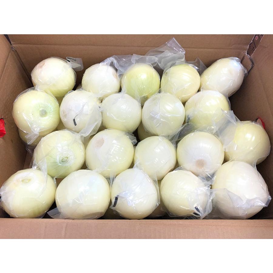玉ねぎ 業務用 約20kg 産地箱｜真空パック・皮付き・赤玉ねぎ対応