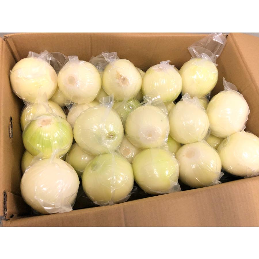 玉ねぎ 業務用 約20kg 産地箱｜真空パック・皮付き・赤玉ねぎ対応