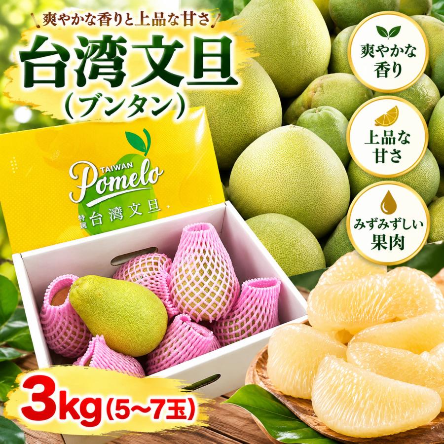 台湾文旦 約3kg 5〜8玉 化粧箱入｜台南台南麻豆産 高級ポメロ｜特選