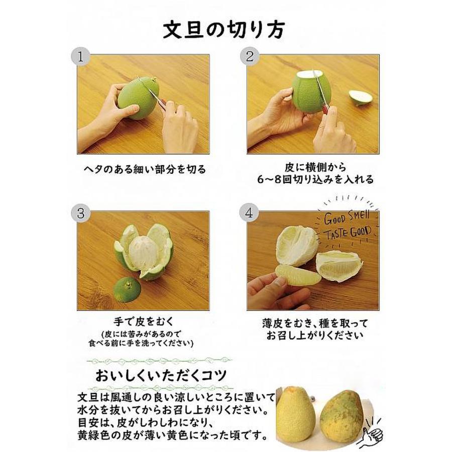 台湾文旦 約3kg ＜5〜7玉入＞ ポメロ 化粧箱入 台南麻豆産 日本向け 