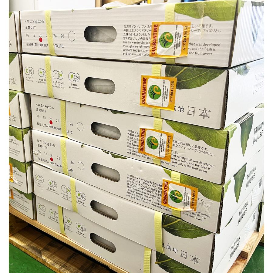 台湾ナツメ 約2.5kg 箱 18〜24個入 空輸 台湾産 日本向け 生 台湾ナツメ 約2.5kg 箱 18〜24個入 空輸 台湾産 日本向け 生