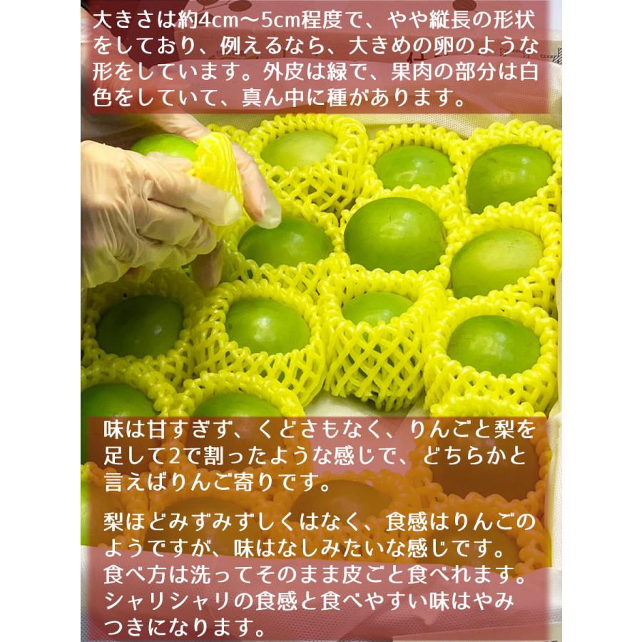 台湾ナツメ 約2.5kg 箱 18〜24個入 空輸 台湾産 日本向け 生 台湾ナツメ 約2.5kg 箱 18〜24個入 空輸 台湾産 日本向け 生