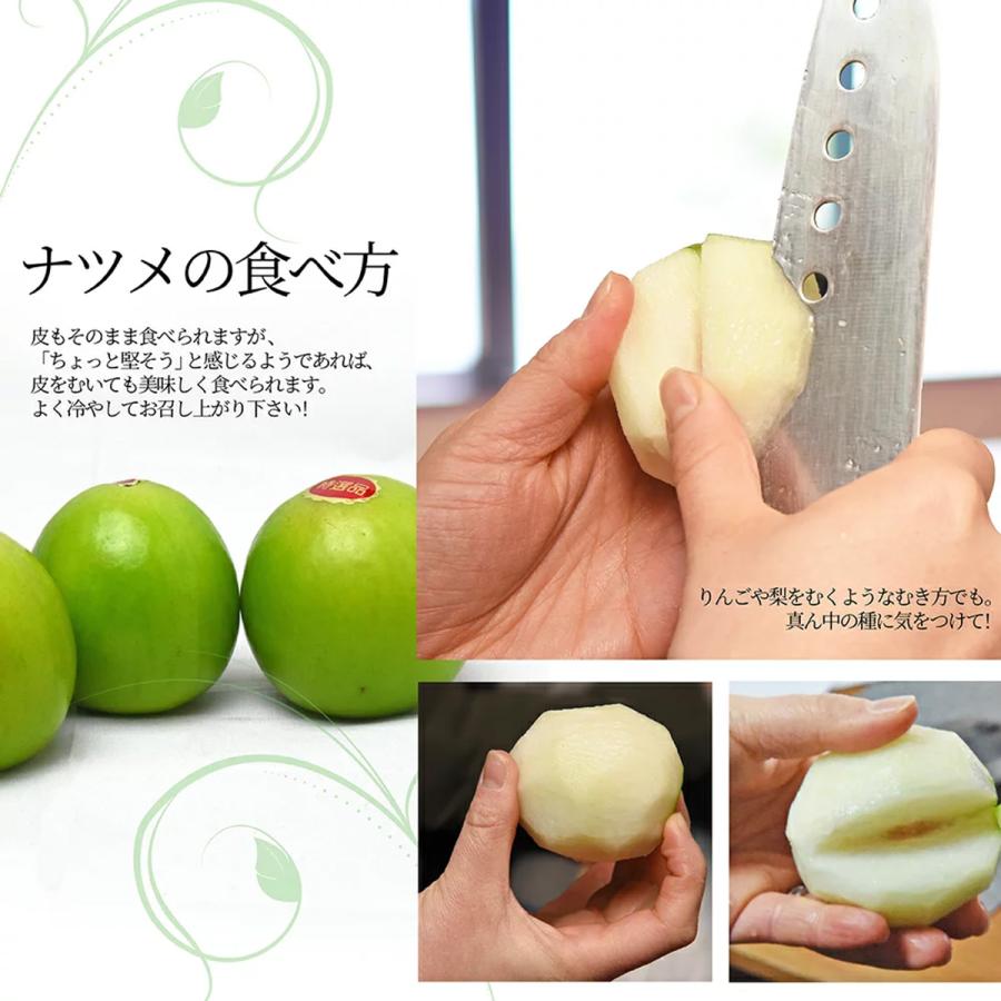 台湾ナツメ 約2.5kg 箱 18〜24個入 空輸 台湾産 日本向け 生 台湾ナツメ 約2.5kg 箱 18〜24個入 空輸 台湾産 日本向け 生
